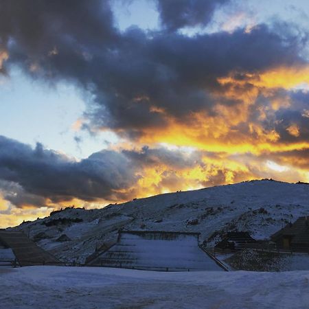 Chalet Gasparjeva Velika Planina 卡姆尼克 外观 照片