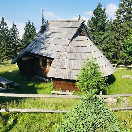 Chalet Gasparjeva Velika Planina 卡姆尼克 外观 照片