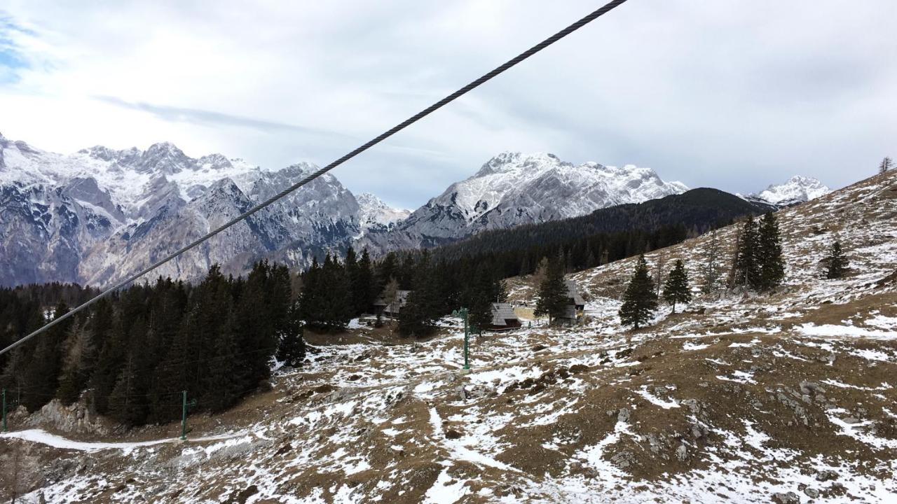 Chalet Gasparjeva Velika Planina 卡姆尼克 外观 照片