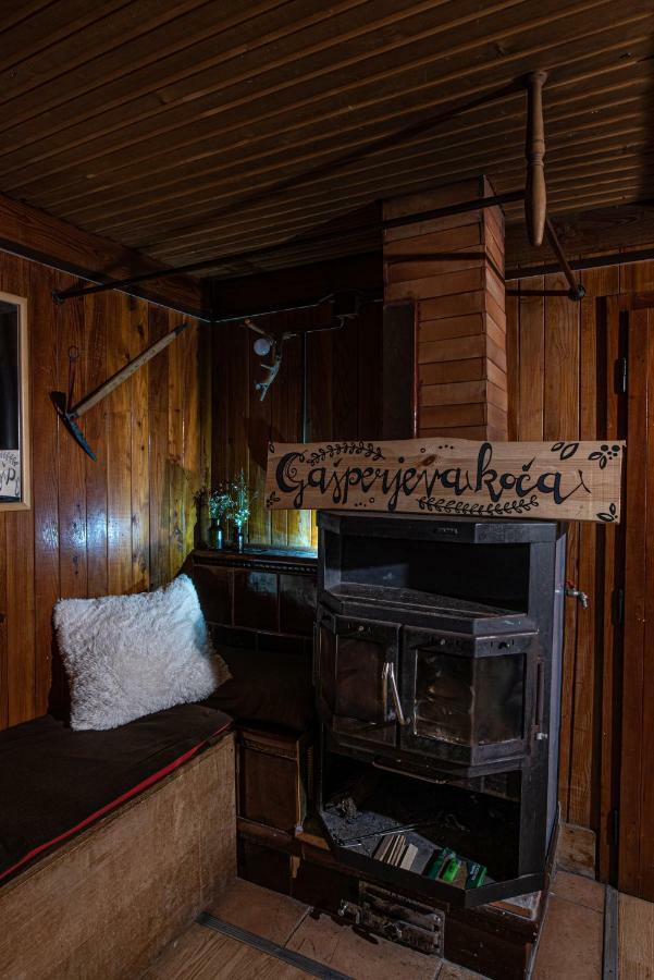Chalet Gasparjeva Velika Planina 卡姆尼克 外观 照片
